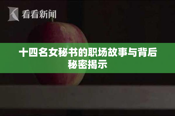 十四名女秘书的职场故事与背后秘密揭示