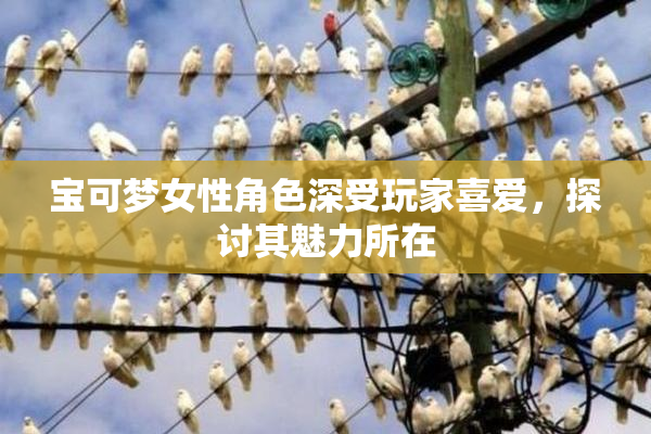 宝可梦女性角色深受玩家喜爱，探讨其魅力所在