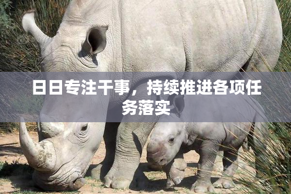 日日专注干事，持续推进各项任务落实