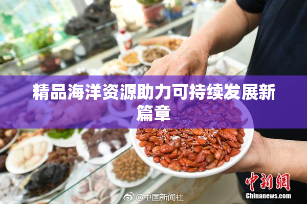 精品海洋资源助力可持续发展新篇章