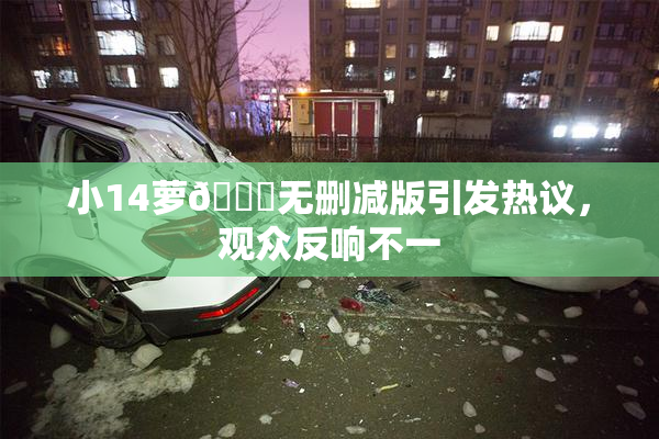 小14萝🔞无删减版引发热议，观众反响不一