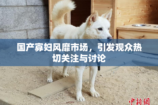 国产寡妇风靡市场，引发观众热切关注与讨论