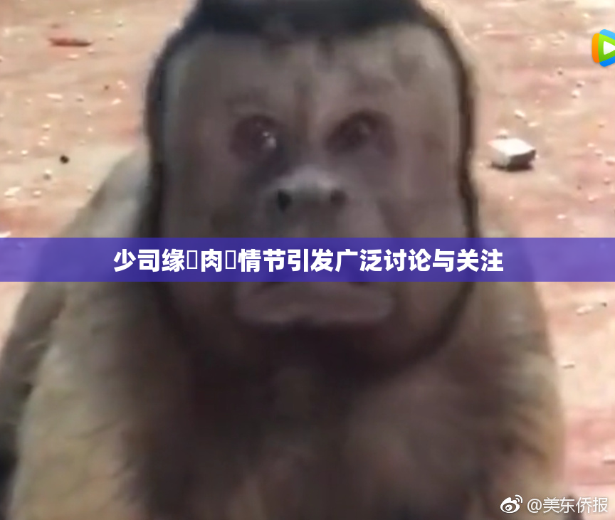 少司缘婬肉泬情节引发广泛讨论与关注