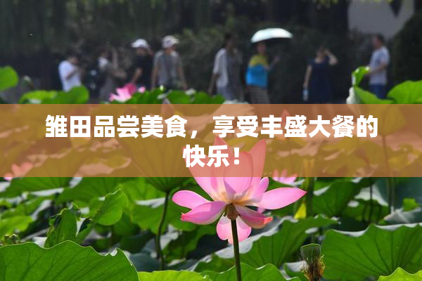 雏田品尝美食，享受丰盛大餐的快乐！