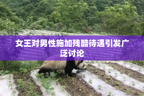 女王对男性施加残酷待遇引发广泛讨论