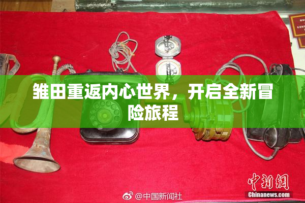 雏田重返内心世界，开启全新冒险旅程