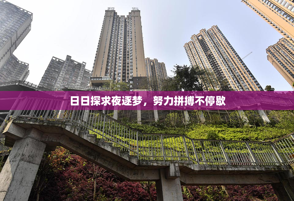 日日探求夜逐梦，努力拼搏不停歇
