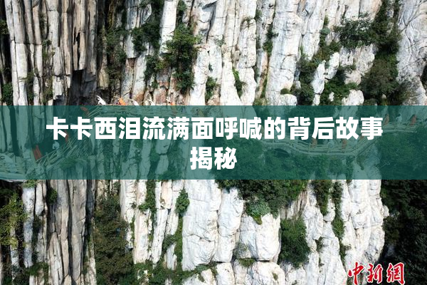 卡卡西泪流满面呼喊的背后故事揭秘