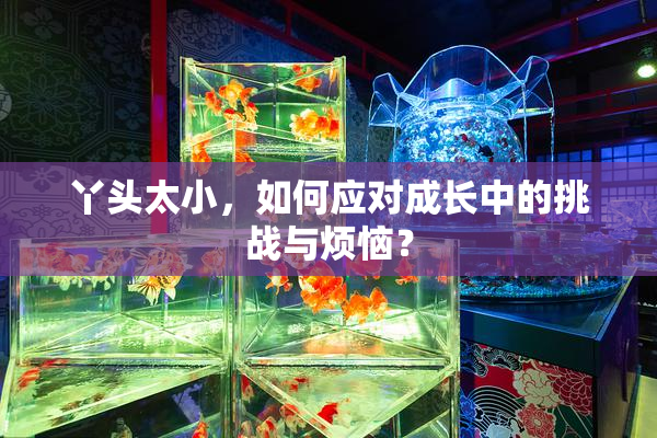 丫头太小，如何应对成长中的挑战与烦恼？