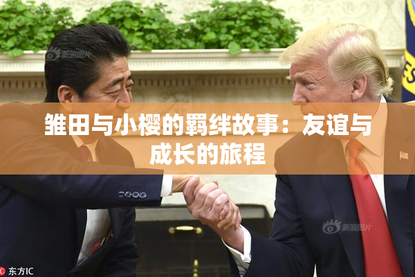 雏田与小樱的羁绊故事：友谊与成长的旅程