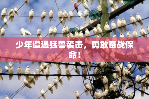 少年遭遇猛兽袭击，勇敢奋战保命！
