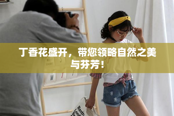 丁香花盛开，带您领略自然之美与芬芳！