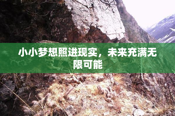 小小梦想照进现实，未来充满无限可能