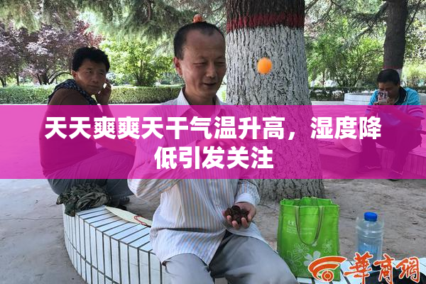 天天爽爽天干气温升高，湿度降低引发关注
