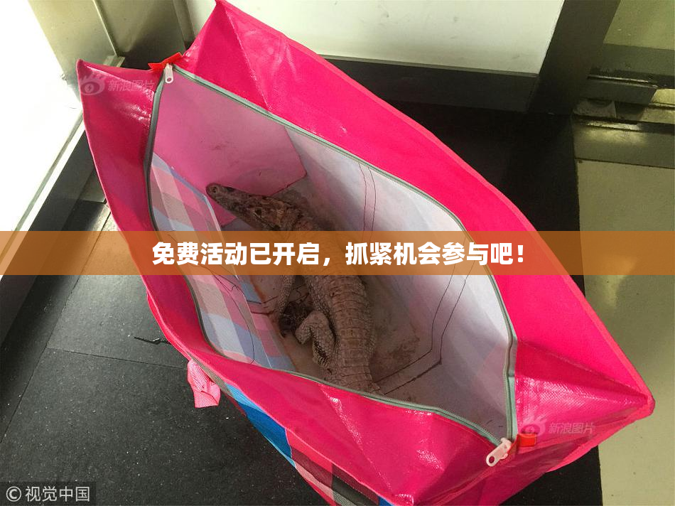 免费活动已开启，抓紧机会参与吧！