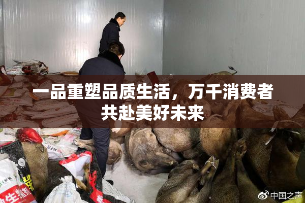 一品重塑品质生活，万千消费者共赴美好未来