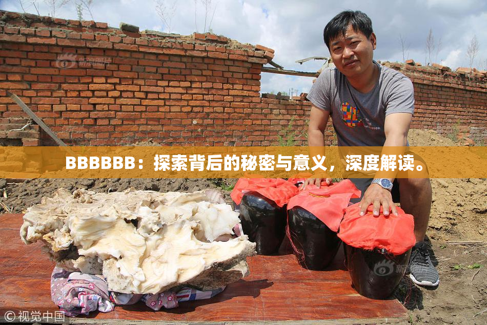 BBBBBB：探索背后的秘密与意义，深度解读。