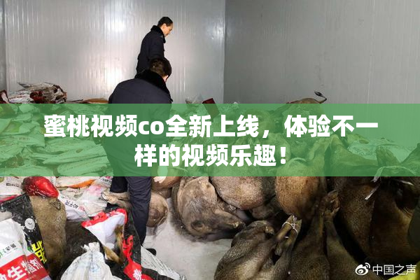 蜜桃视频co全新上线，体验不一样的视频乐趣！