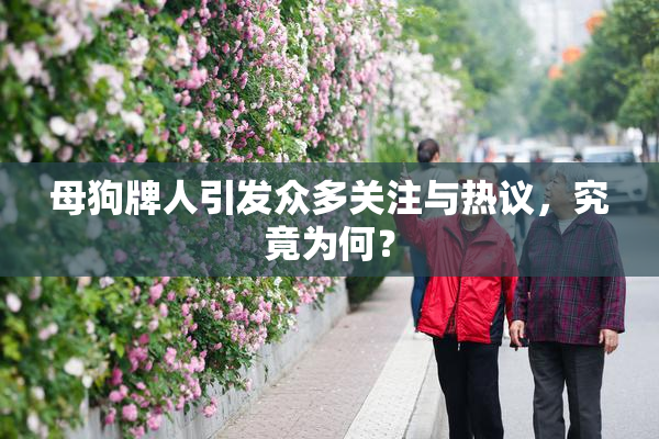 母狗牌人引发众多关注与热议，究竟为何？