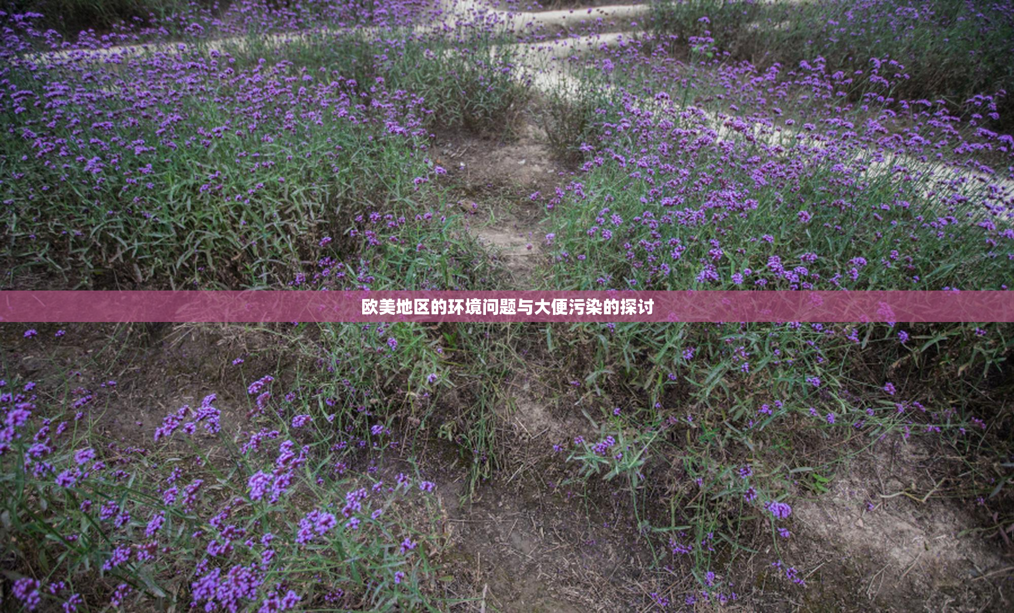 欧美地区的环境问题与大便污染的探讨