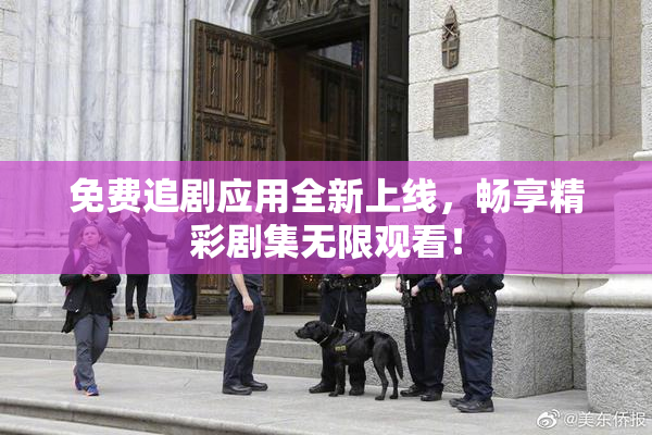 免费追剧应用全新上线，畅享精彩剧集无限观看！