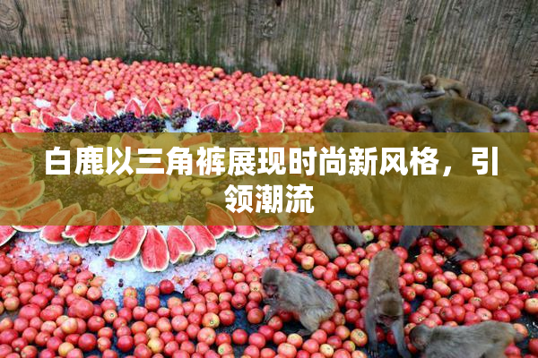 白鹿以三角裤展现时尚新风格，引领潮流