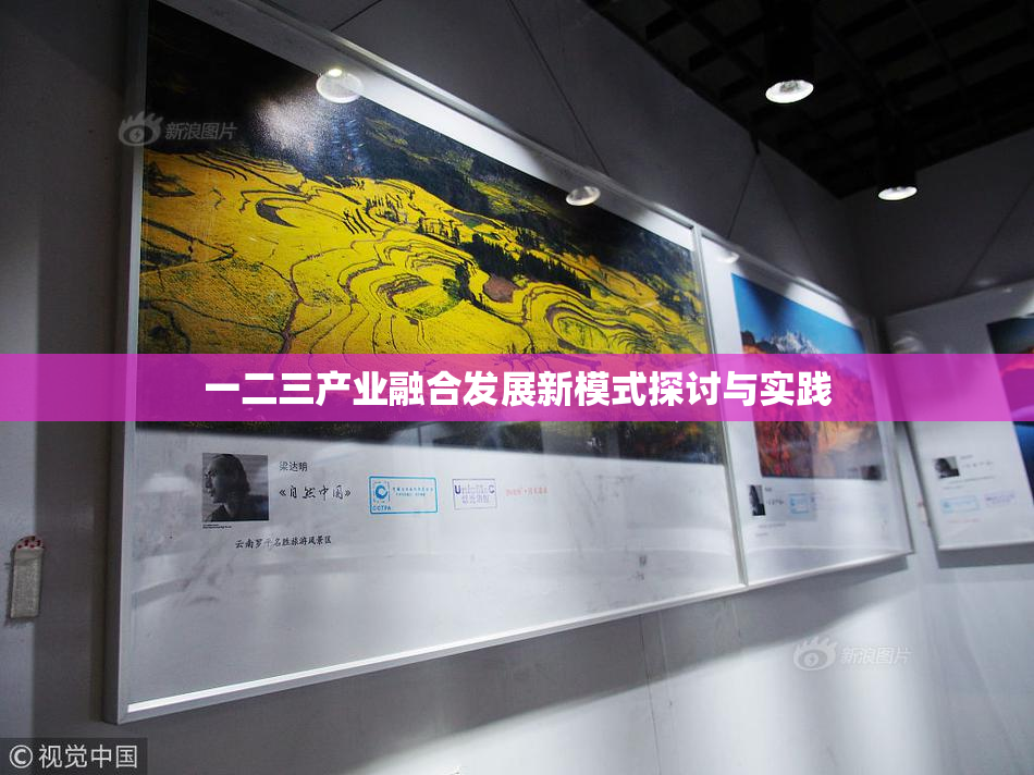 一二三产业融合发展新模式探讨与实践