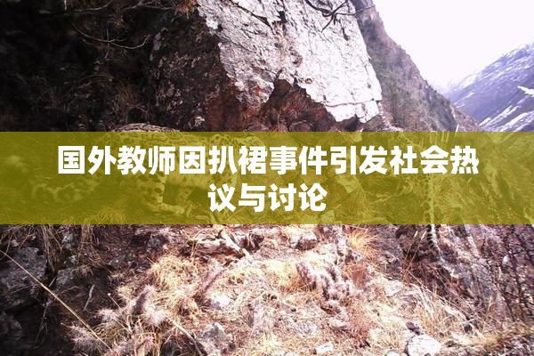 国外教师因扒裙事件引发社会热议与讨论