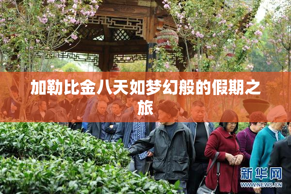 加勒比金八天如梦幻般的假期之旅