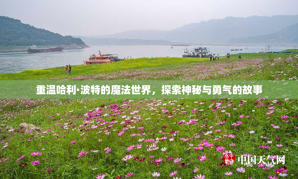 重温哈利·波特的魔法世界，探索神秘与勇气的故事