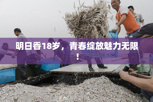 明日香18岁，青春绽放魅力无限！