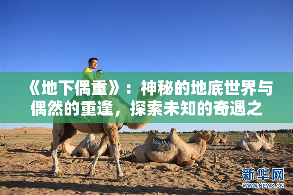《地下偶重》：神秘的地底世界与偶然的重逢，探索未知的奇遇之旅