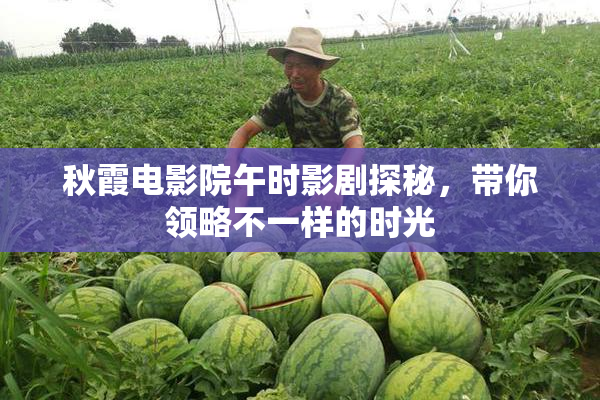 秋霞电影院午时影剧探秘，带你领略不一样的时光