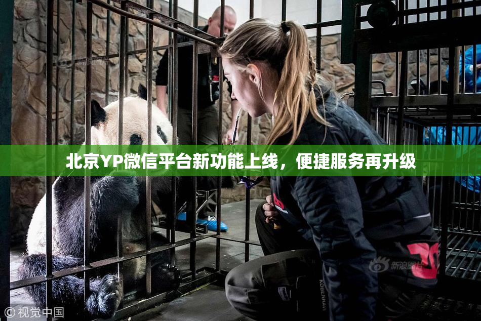 北京YP微信平台新功能上线，便捷服务再升级