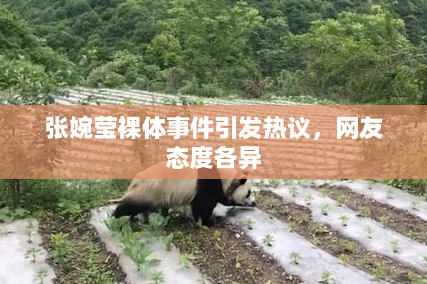 张婉莹裸体事件引发热议，网友态度各异