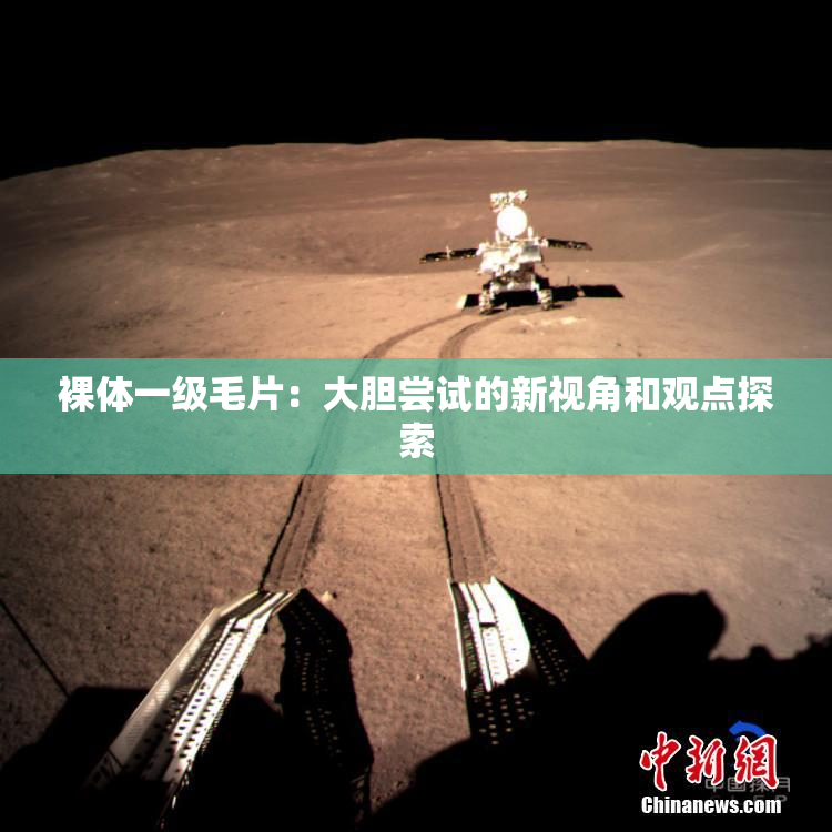 裸体一级毛片：大胆尝试的新视角和观点探索