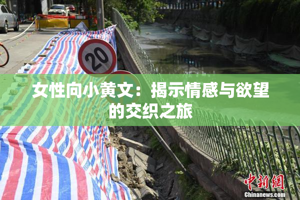 女性向小黄文：揭示情感与欲望的交织之旅