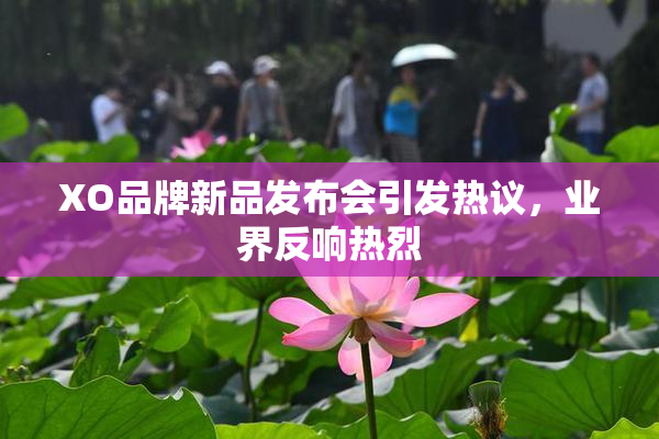 XO品牌新品发布会引发热议，业界反响热烈