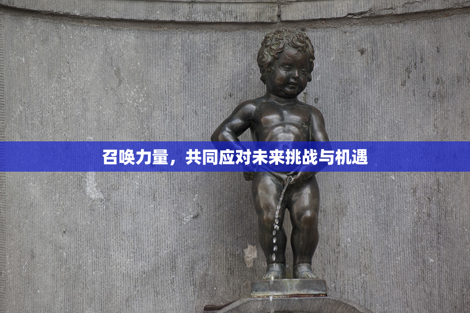召唤力量，共同应对未来挑战与机遇