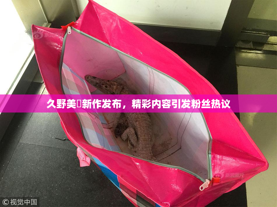 久野美咲新作发布，精彩内容引发粉丝热议
