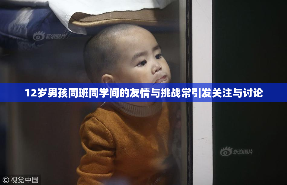 12岁男孩同班同学间的友情与挑战常引发关注与讨论