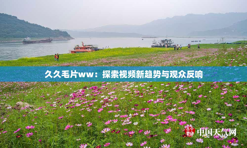 久久毛片ww：探索视频新趋势与观众反响