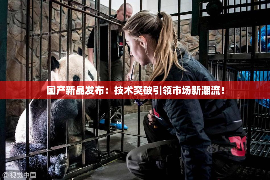 国产新品发布：技术突破引领市场新潮流！