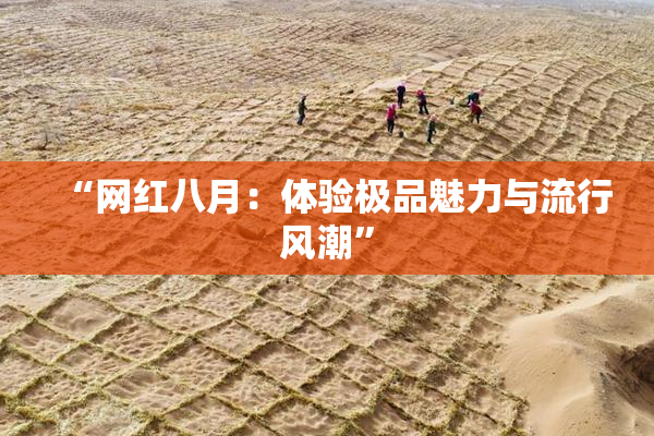“网红八月：体验极品魅力与流行风潮”