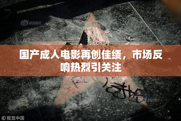 国产成人电影再创佳绩，市场反响热烈引关注