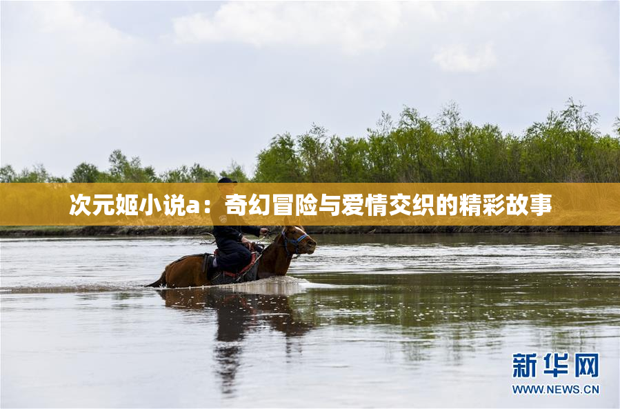 次元姬小说a：奇幻冒险与爱情交织的精彩故事