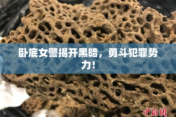 卧底女警揭开黑暗，勇斗犯罪势力！