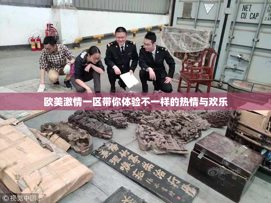 欧美激情一区带你体验不一样的热情与欢乐