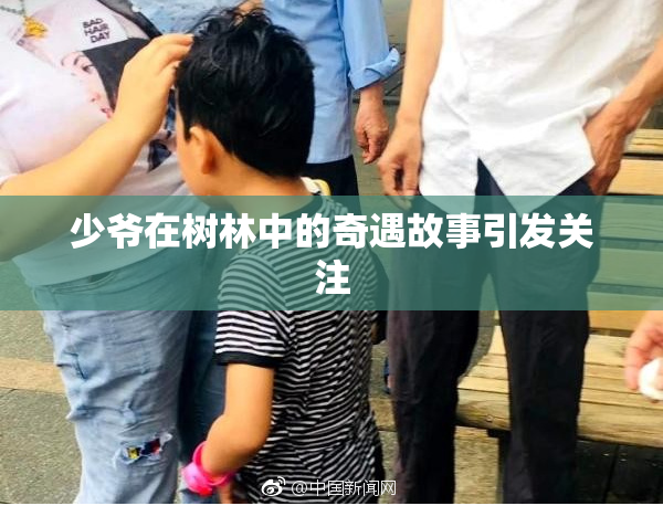 少爷在树林中的奇遇故事引发关注