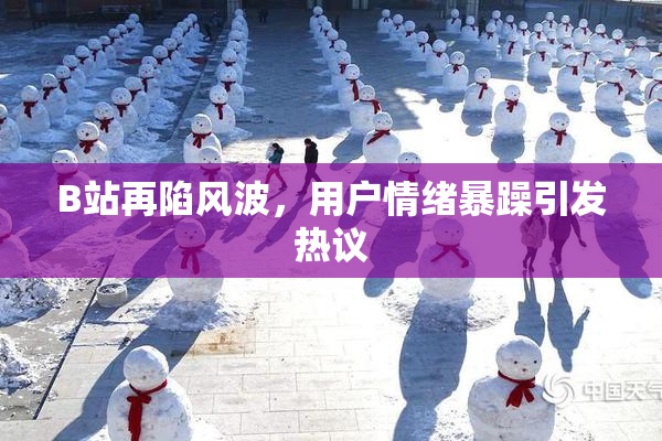 B站再陷风波，用户情绪暴躁引发热议